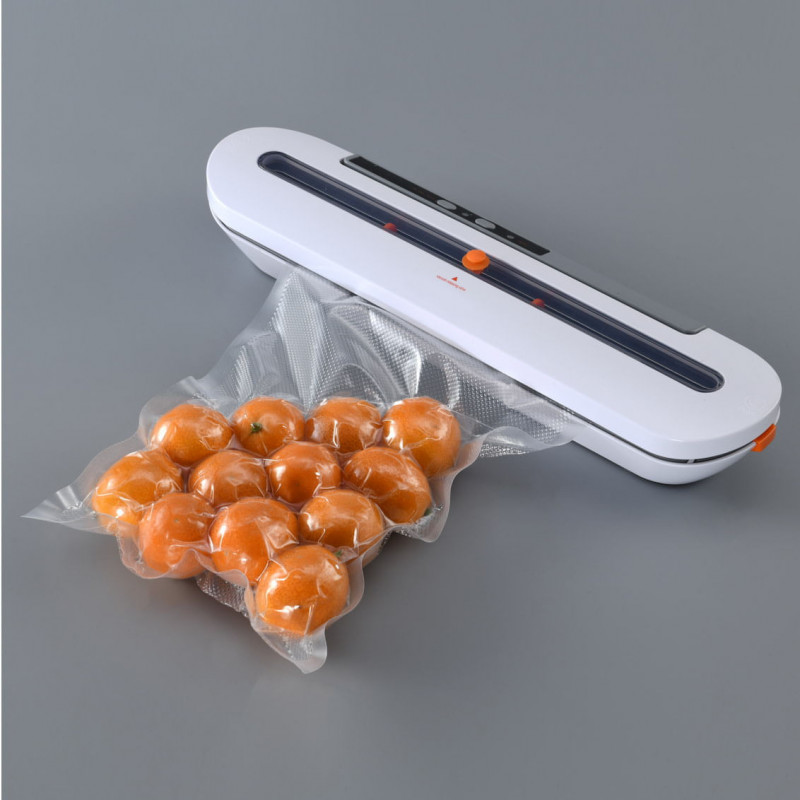 1017_296681 1017_296681