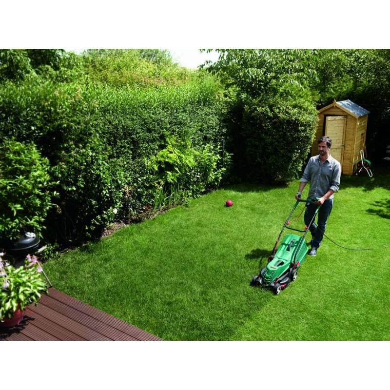 3668_198019 3668_198019