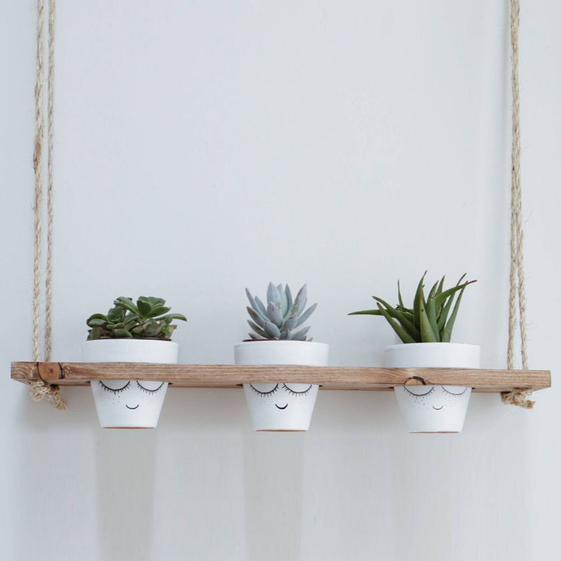 2167_315679 2167_315679