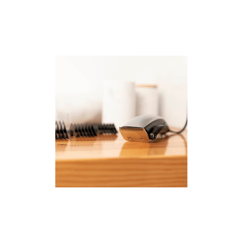 5309_241237 5309_241237