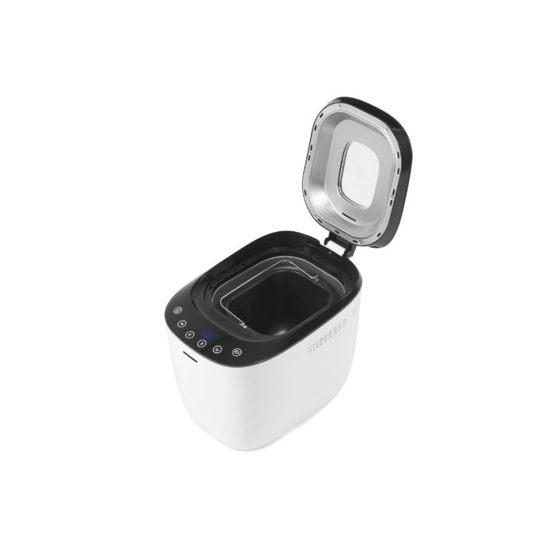 5365_241460 5365_241460